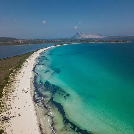Cosy Near The Sea Διαμέρισμα